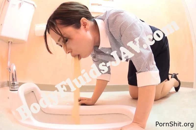 Absurd Toilet Vomit 不条理なトイレの嘔吐 BFJV-66 - Scatoasis, Shit In Mouth, Scat Domination