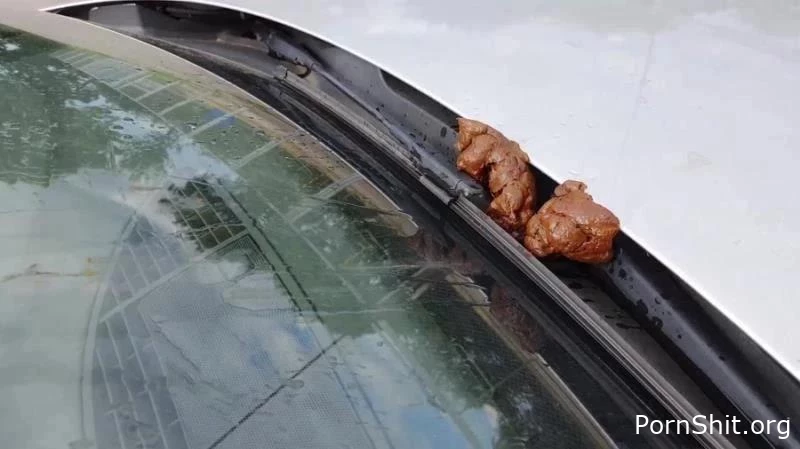 shit and piss in public on a car with Versauteschnukkis - Organic Shit, Humiliate Scat, Scat Godess