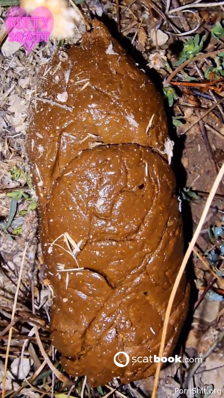 Open Field Outdoor Poo on Festival. P1 - Compilation Scat, Huge Turds, Spicy Scat