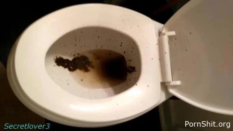 Toilet Spray - Secretlover3 - Scatlovingcouple, Concentrate Shit, Solo Scat