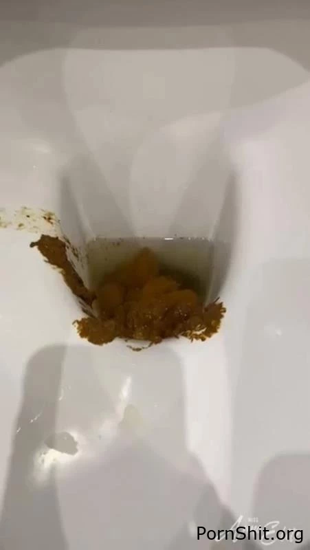 A big pile of shit in the toilet. P1 - Compressed Piece Of Shit, Scat Boobs, Farts