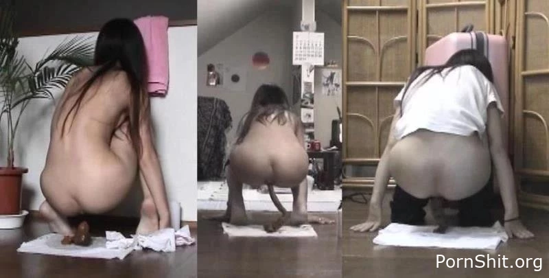 Self filmed excretion sexy woman. SWSJ1212-V1 - Scat Toilet, Shitting Girl, Free Scat Porn